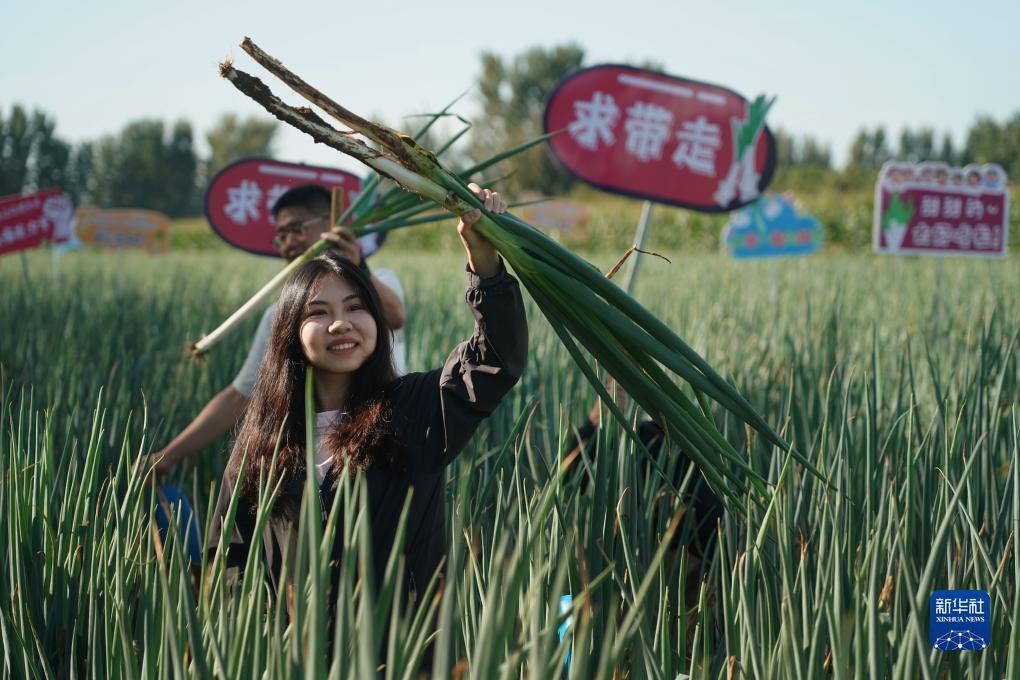 打麻将胡牌公式